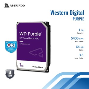 PURPLE 1 T-PURPLE 1 T