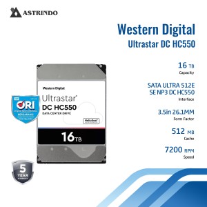 WUH721816ALE6L4 ULTRASTAR 16TB-WUH721816ALE6L4 ULT