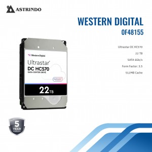 WD Ultrastar HC570 22TB HDD / HD / Harddsik Enterp