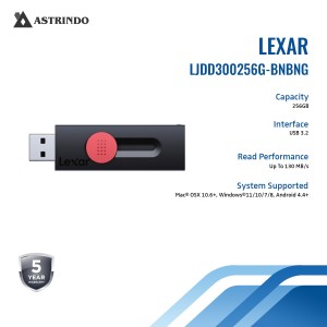 Lexar Flashdisk JumpDrive Dual Drive D300 OTG 256G