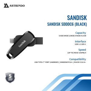 SanDisk Flashdisk Phone Drive SDDDC6 256GB for And