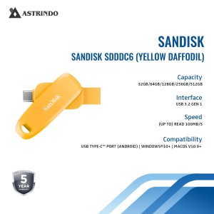 SanDisk Flashdisk Phone Drive SDDDC6 32GB for Andr