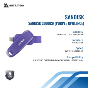 SanDisk Flashdisk Phone Drive SDDDC6 128GB for And