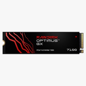 SANDISK Optimus GX 7100 NVMe™ SSD Read Performance