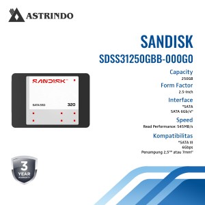 SANDISK 320 SATA SSD Read Performance Up to 545MB/