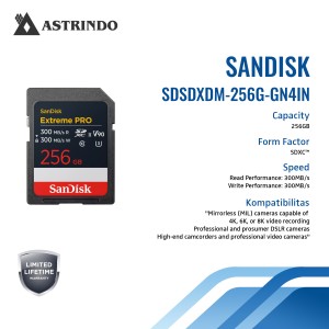 SanDisk Extreme PRO SD UHS-II Card (V90) Read Perf