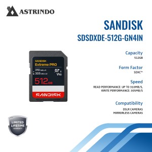 SANDISK Extreme PRO SD UHS-II V90 Card Read Perfor