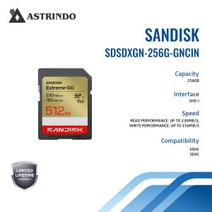 Kartu SANDISK Extreme GO SD UHS-I - 256GB-Kartu SA
