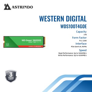 WD Green SN3000 NVMe SSD - 1TB-WD Green SN3000 NVM