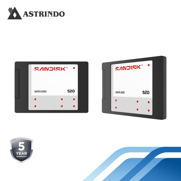 SANDISK 520 SATA SSD Read Performance Up to 560MB/s - 2TB