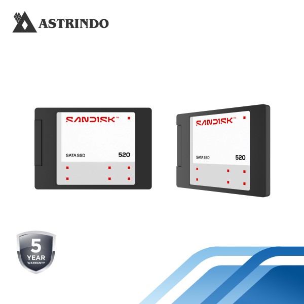 SANDISK 520 SATA SSD Read Performance Up to 560MB/s, 2.5-Inch - 500GB