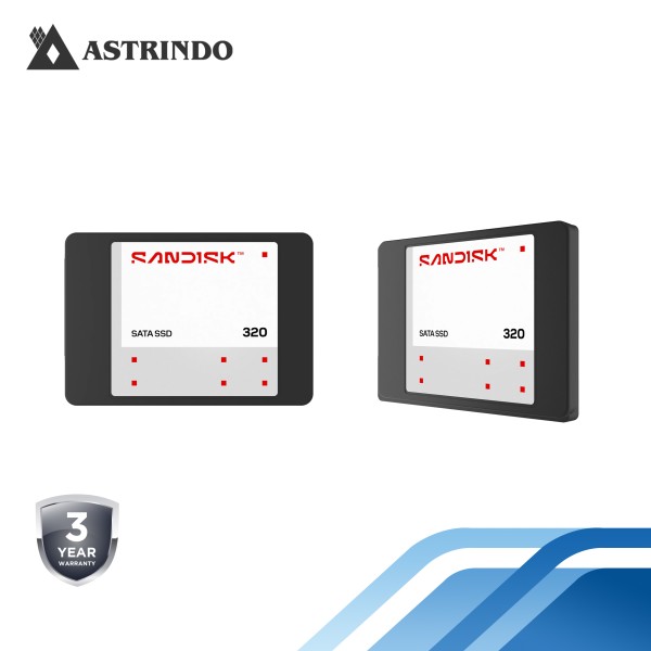 SANDISK 320 SATA SSD Read Performance Up to 545MB/s, 2.5-Inch  - 250GB