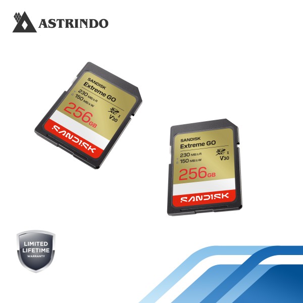Kartu SANDISK Extreme GO SD UHS-I - 256GB