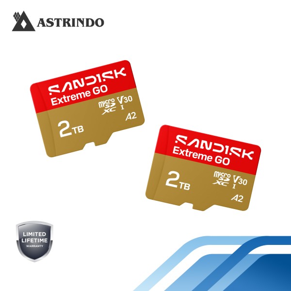 SANDISK Extreme GO microSD™ UHS-I Card - 2TB