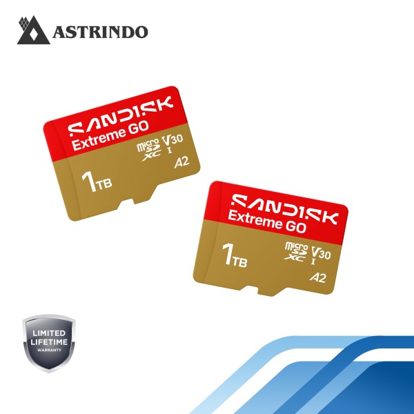 SANDISK Extreme GO microSD™ UHS-I Card - 1TB