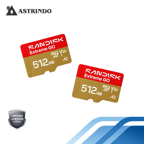 SANDISK Extreme GO microSD™ UHS-I Card - 512GB