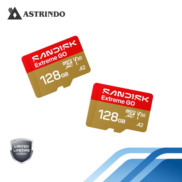 SANDISK Extreme GO microSD™ UHS-I Card - 128GB
