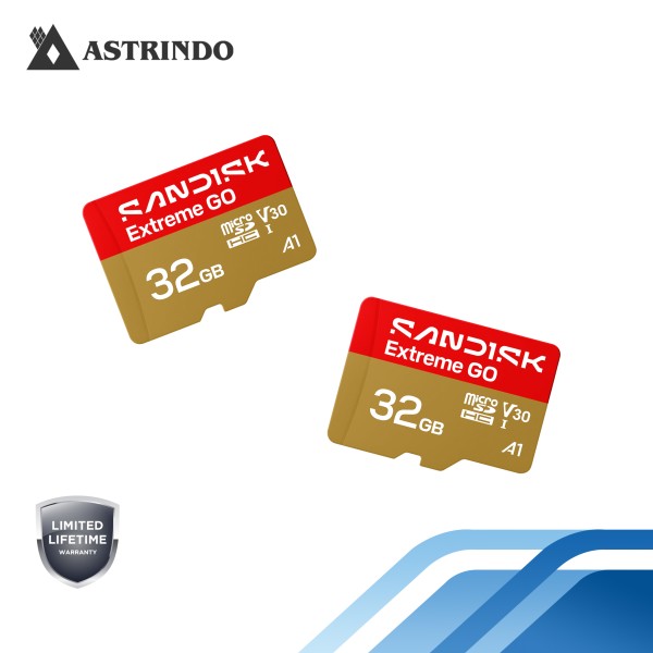 SANDISK Extreme GO microSD™ UHS-I Card - 32GB