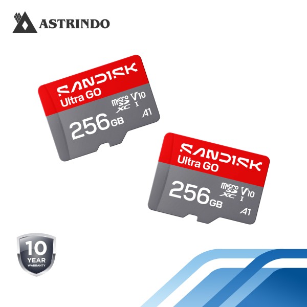 SANDISK Ultra GO microSD™ UHS-I Card - 256GB
