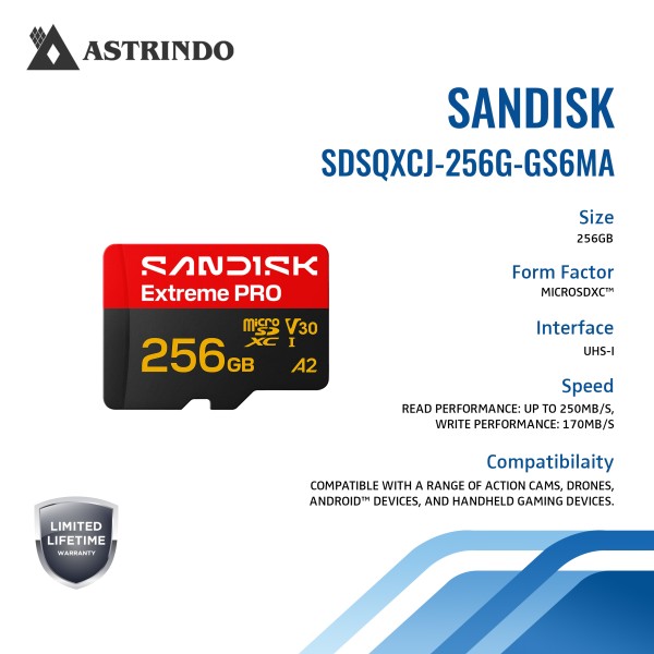 SANDISK Extreme PRO microSD™ UHS-I Card - 256GB