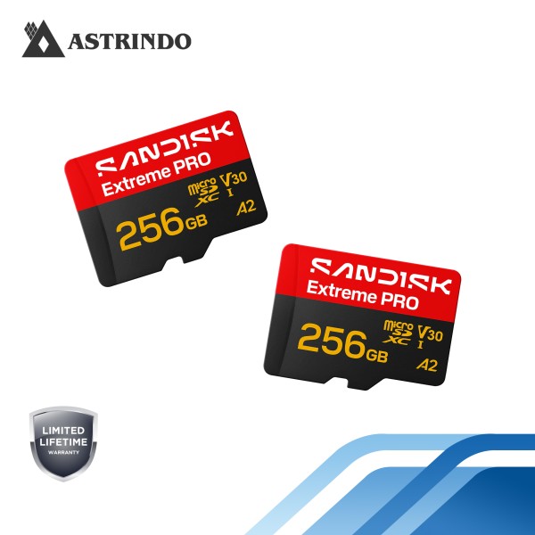 SANDISK Extreme PRO microSD™ UHS-I Card - 256GB