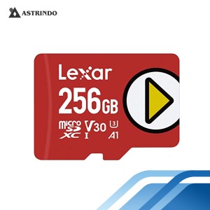 MicroSD Play Card 150/MBs 256 GB-MicroSD Play Card