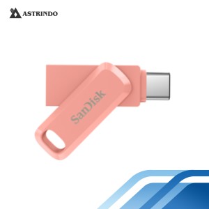 Sandisk Ultra Dual Drive Go 128GB, Flashdisk Type-