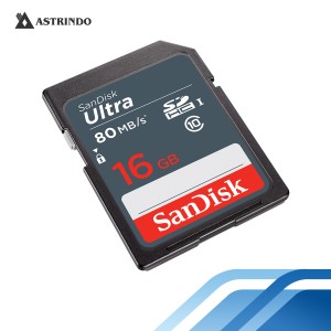 SanDisk Ultra SDHC, SDUNS 16GB-SanDisk Ultra SDHC,