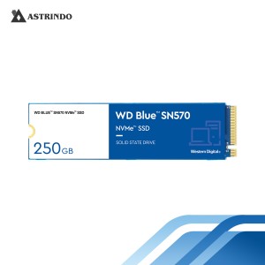 WD Blue™ SN570 NVMe™  SSD, 250GB-WD Blue™ SN570 NV