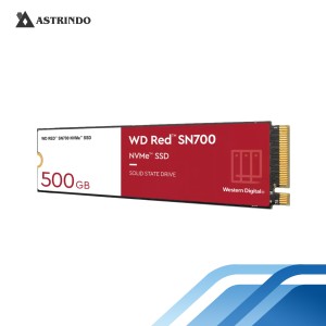 WD Red SN700 NVMe SSDs for NAS  500GB-WD Red SN700
