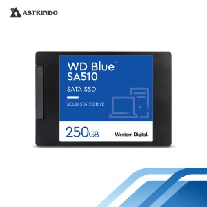SSD BLUE 3D NAND 250 GB-SSD BLUE 3D NAND 250 GB
