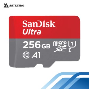 SanDisk Ultra microSDXC, SQUAC 256GB-SanDisk Ultra