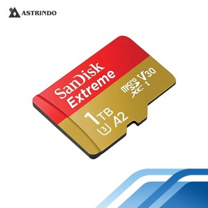 SanDisk Extreme microSDXC, SQXAV 1TB 190MB/s R-San