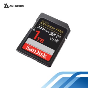 SanDisk Extreme Pro SDXC SDXXD 1TB V30 U3 C10 UHS-