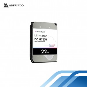 WD Ultrastar HC570 22TB HDD / HD / Harddsik Enterp