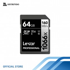 SD Card Professional 1066x SDXC UHS-I Memory Card 